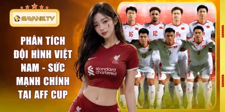 Phân tích đội hình Việt Nam